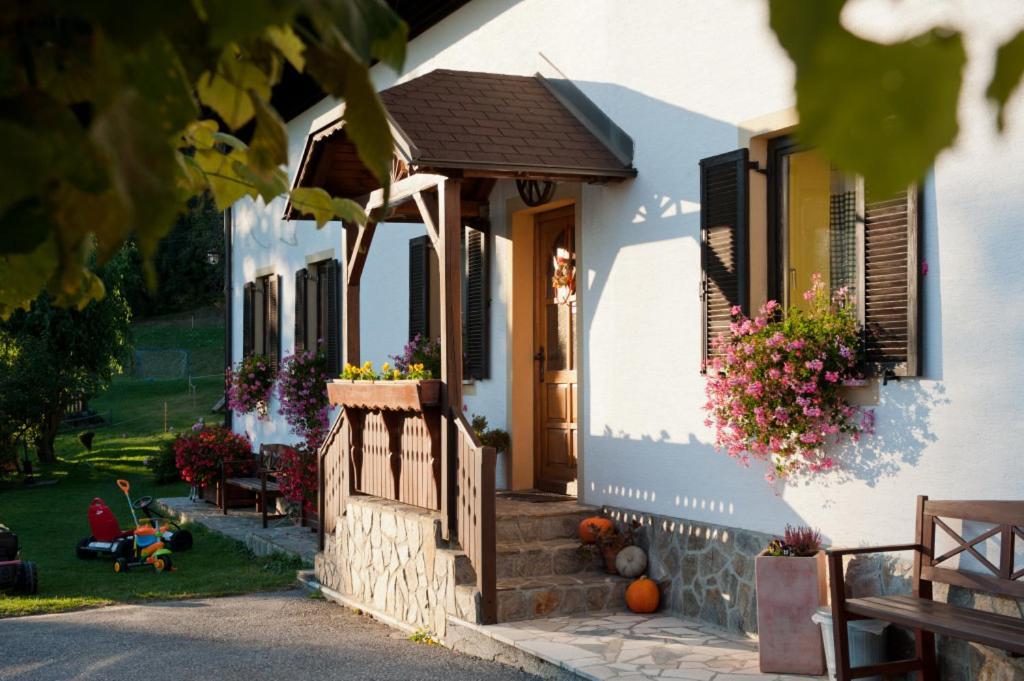 ホテルTourist Farm Stern Pri Kovacniku Fram エクステリア 写真